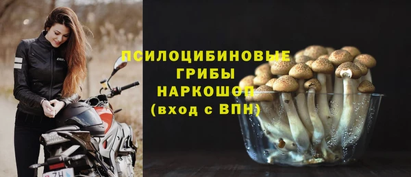 эйфоретик Балахна