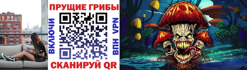 Купить  Вяземский  Псилоцибиновые грибы мухоморы 